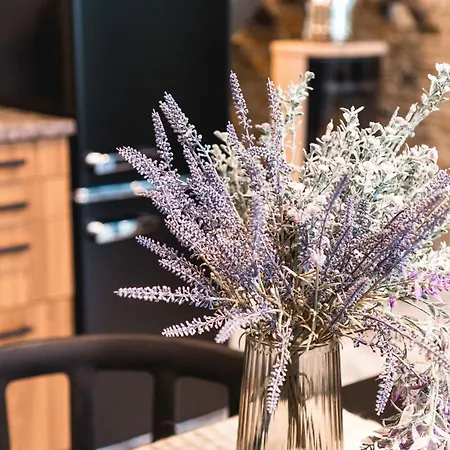 Dirhami Jacuzzi 别墅 *