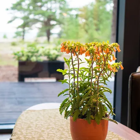 Dirhami Jacuzzi וילה