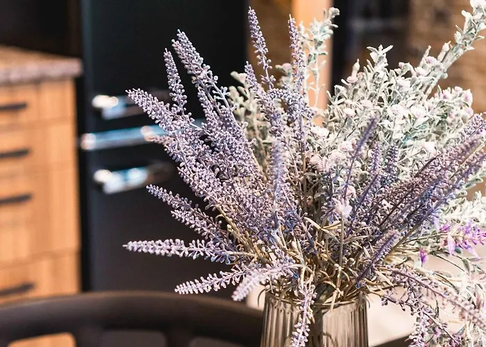 Dirhami Jacuzzi Villa *